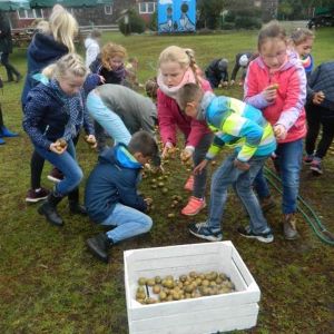 2017-10-06 Treffen mit der polnischen Partnerschule - Besuch einer Tierfarm - Kartoffelfest