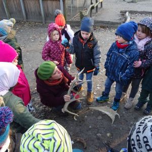2019-12-05 Wildpark Rosengarten