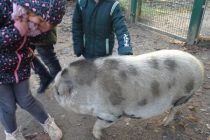 2019-12-05-Wildpark02