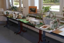 10-jahre-grundschule-neuhardenberg-01