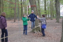 prjekt-wald-2013-07