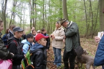 prjekt-wald-2013-13