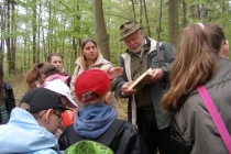 prjekt-wald-2013-14