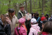 prjekt-wald-2013-15