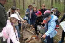 prjekt-wald-2013-20