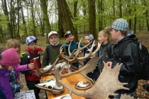 prjekt-wald-2013-33
