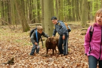 prjekt-wald-2013-40