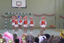 fasching-2017-38